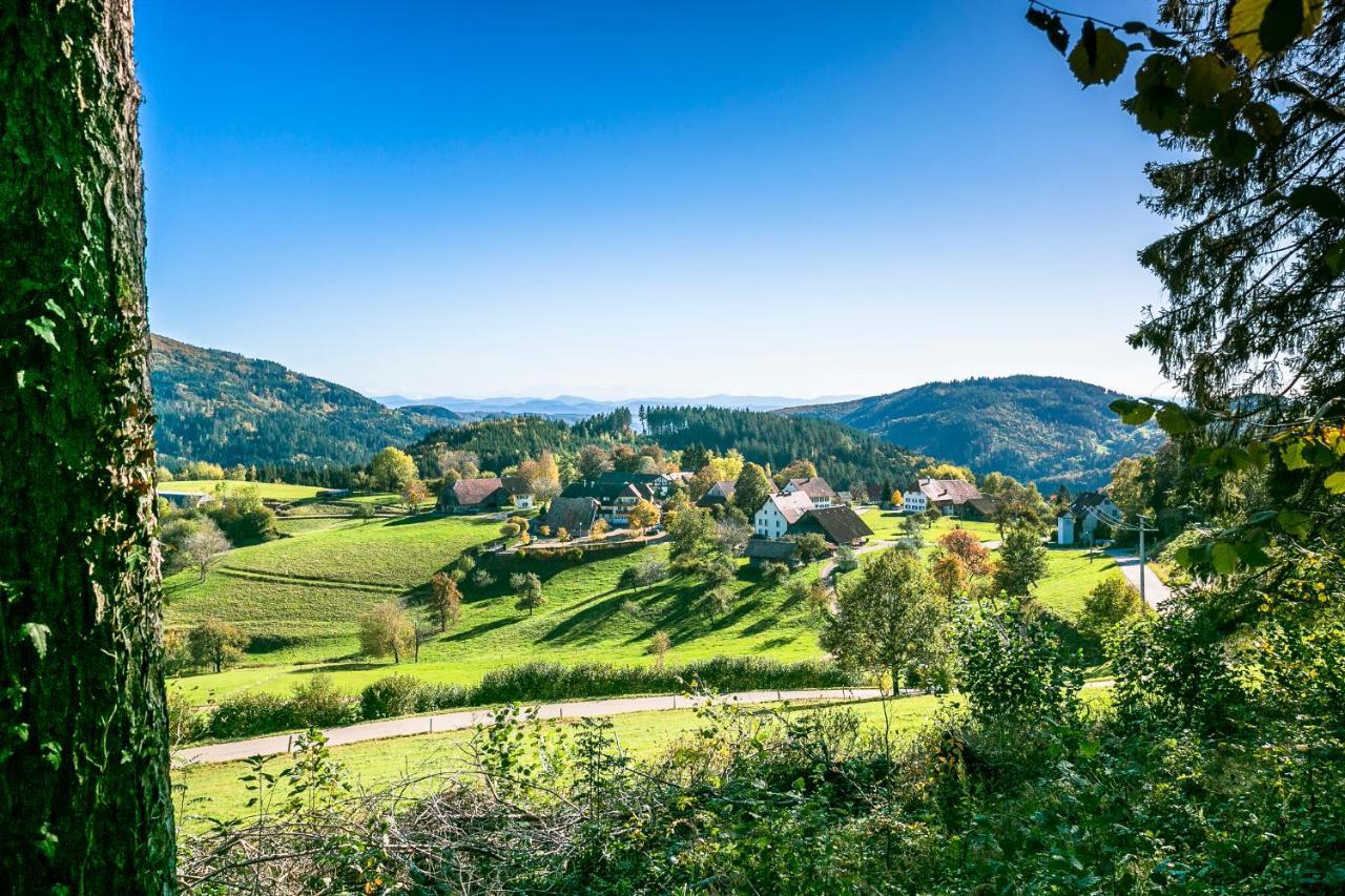 Hotel-Restaurant Sennhuette Im Herzen Des Suedschwarzwalds Kleines Wiesental Eksteriør bilde